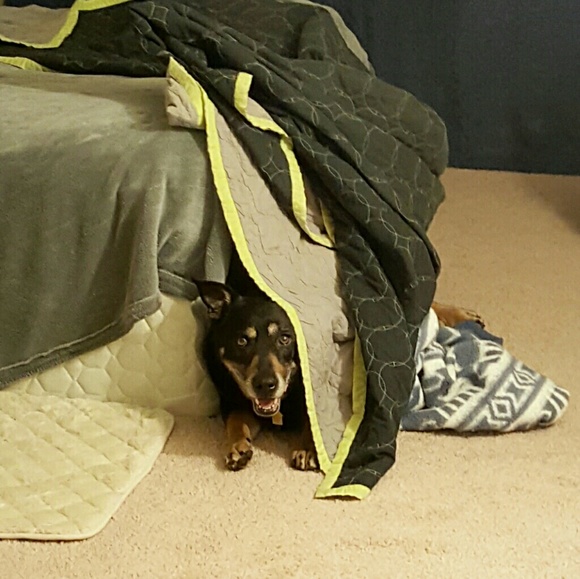 Welcome, Mika!! - Picture 4 of 8